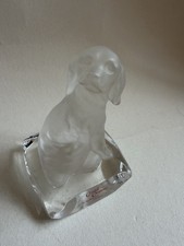 Nachtmann CRISTAL CREATURES -