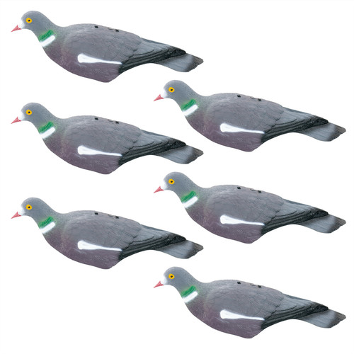 6pc pigeon shell - shell, decoy