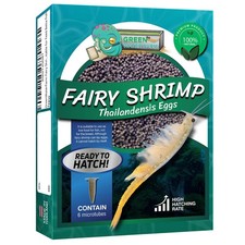 Fairy Shrimp Thailandensis Eggs Live Fish Food for Hatching and Feed Betta Fish