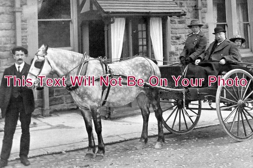 2887 buxton pony trap - -,