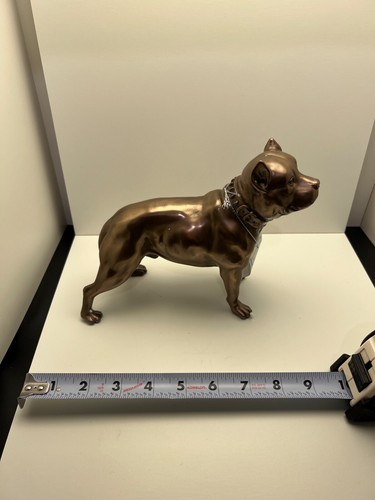 Pit bull pitbull staffie - pit, pitbull/staffie