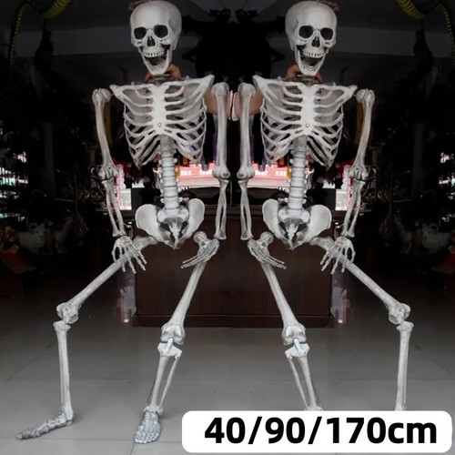 170cm poseable skeleton - poseable,