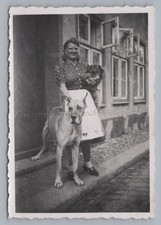Housewife with Dog Pekingese & Great Dane on Front Door - Vintage Photo 1930s