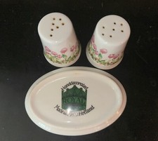 Vintage Royal Schwabap Salt & Pepper Shaker &Sitting Tray-tulips-used-good Con