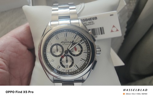 Alpina alpiner quartz - alpiner, al373