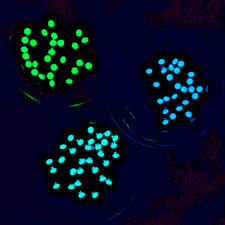 Watch Bezel Luminous Pip Dot Lume Seiko Rolex Omega Etc CHOOSE COLOUR & TRIM