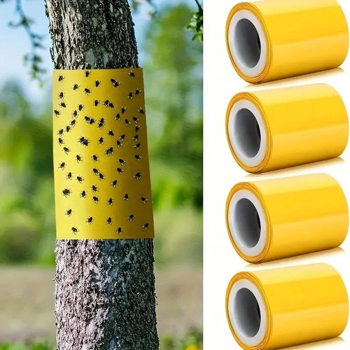 Grease band tree trunk insect - trunk,