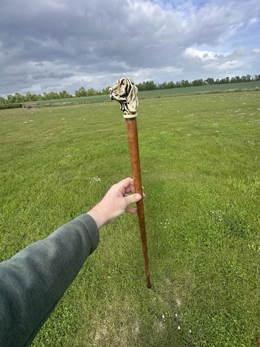 Vintage walking stick - walking, with