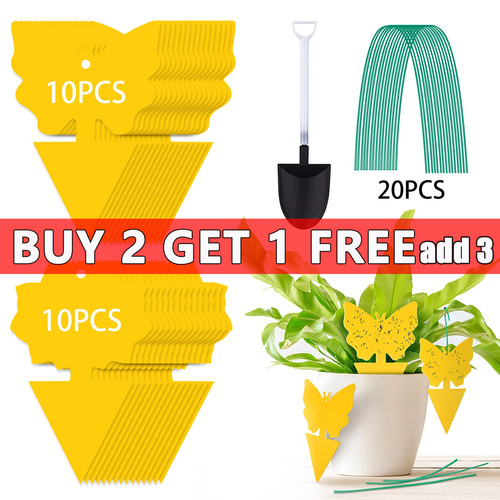 Pack fruit fly traps - traps, yellow