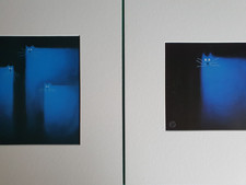 Govinder Nazran blue cat duo