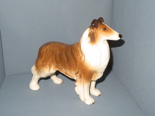 Large rough collie - collie, dog