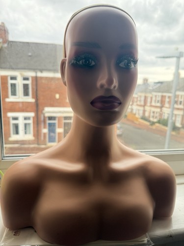 Mannequin head with - head,