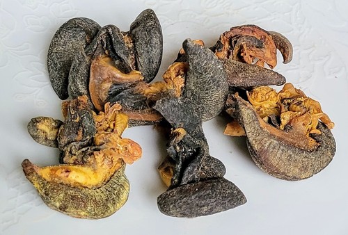 Oven dried seasoned snails - seasoned,