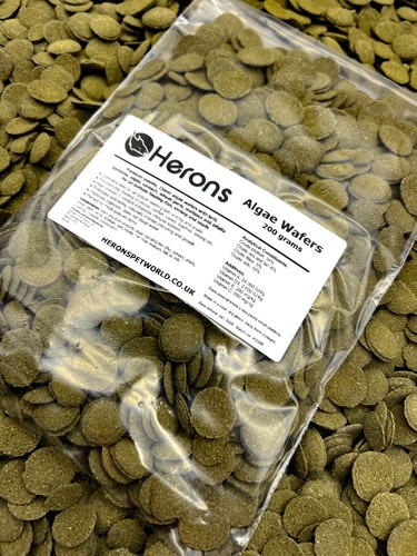 Herons algae wafers - herons,