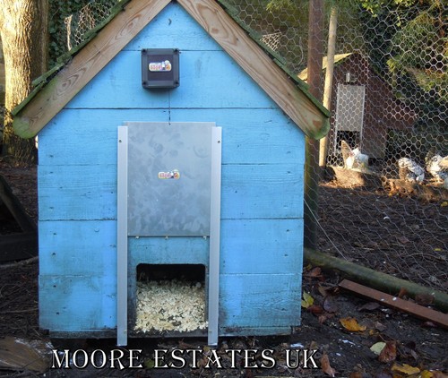 Automatic chicken door pop - automatic,