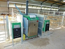 Holm & Laue calf feeder tubing milking parlour machine milking dairy equipment