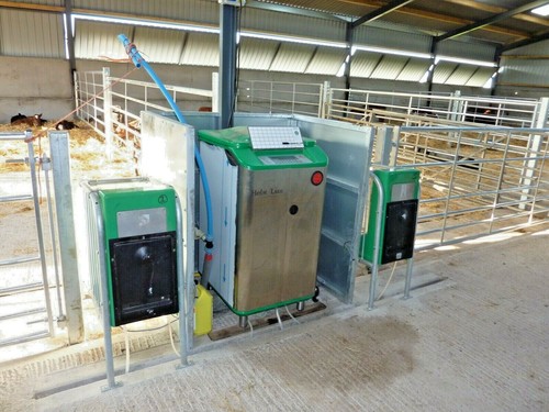 Holm laue calf - holm, tubing