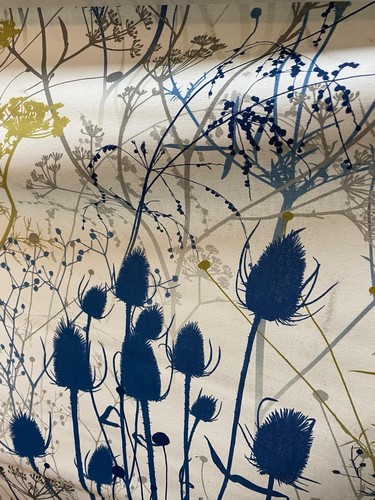 Metres clarissa hulse summer - clarissa,