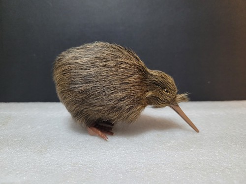 Vintage kiwi bird new - kiwi,