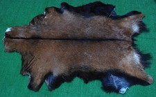 Luxury Goat hide Rug Hair on