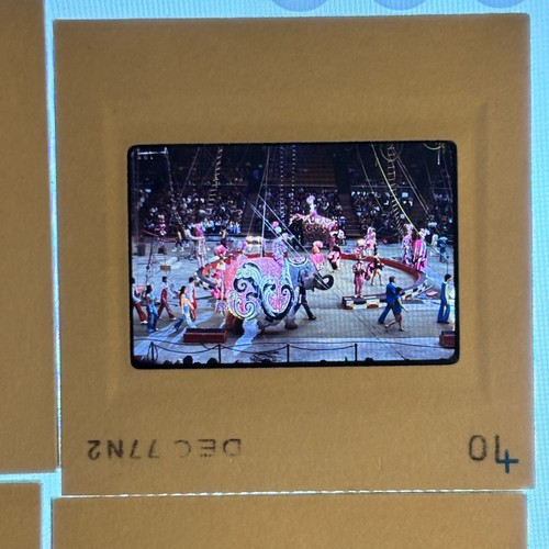Vintage photo slides circus - vintage,