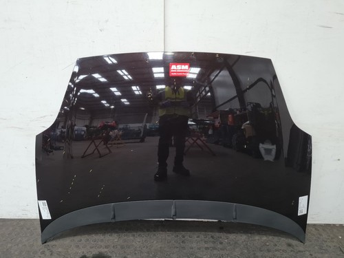 Fiat punto evo bonnet 2011 - evo,