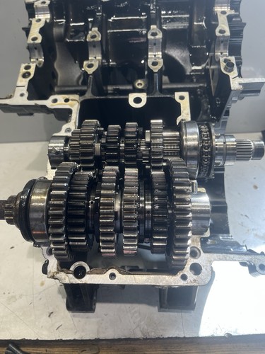 Triumph tiger 1050 - tiger,