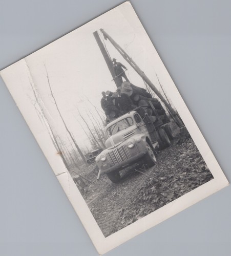 Lumber logging industry - lumber,