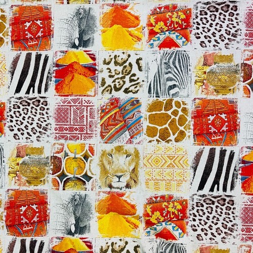 Zebra safari lions - safari, heavy