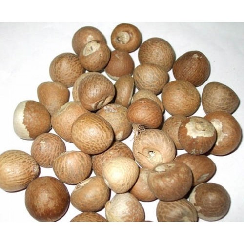 Betel nuts whole organic dried - whole,