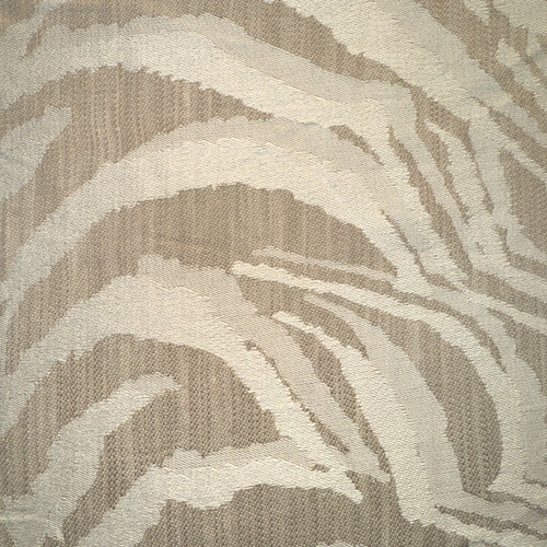 Cream tan tiger zebra - tiger,