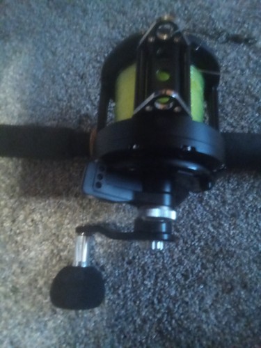Daiwa big game reel - reel, saltist