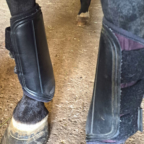 Woof wear tendon fetlock - woof, tendon/fetlock