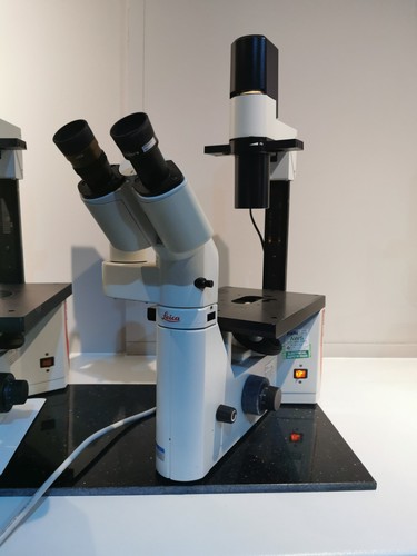 Leica microscope - il,
