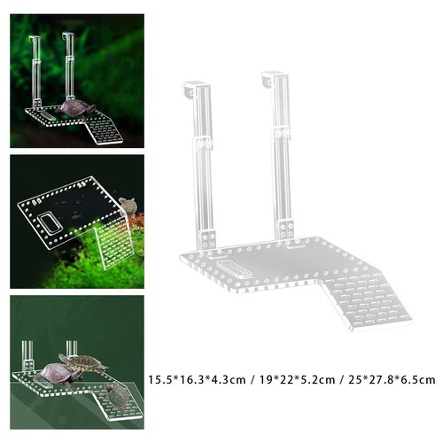 Turtle basking platform - turtle,