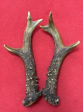 PAIR OF ROE DEER ANTLERS 189g
