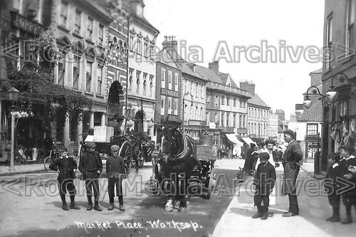 Xgg horse drawn dray - horse,