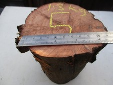 YEW log native  hardwoods