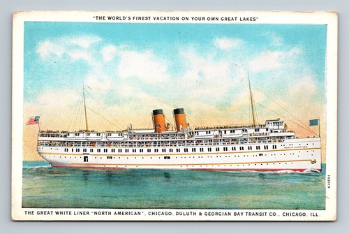 Chicago great white - white, liner