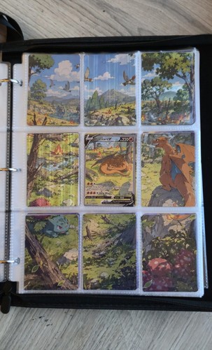 Charizard swsh260 binder - charizard,