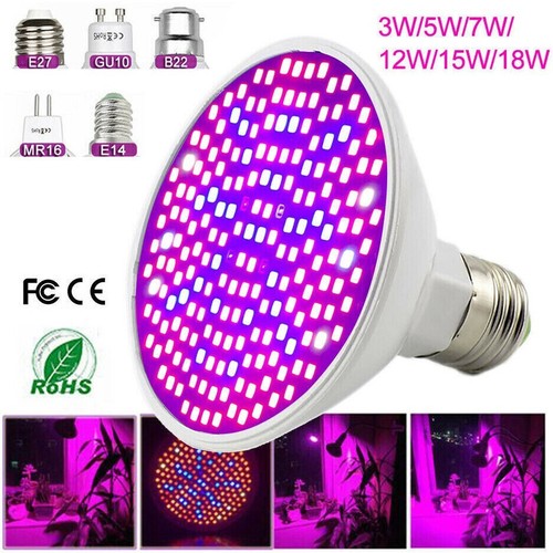 200 led plant - 200, full