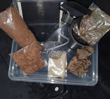 InsectsDirect - Giant African