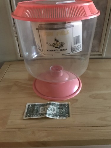 Goldfish bowl - goldfish,