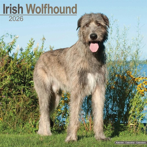 Irish wolfhound calendar - irish,