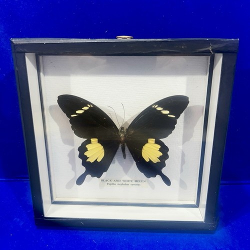 Vintage framed black - black, white