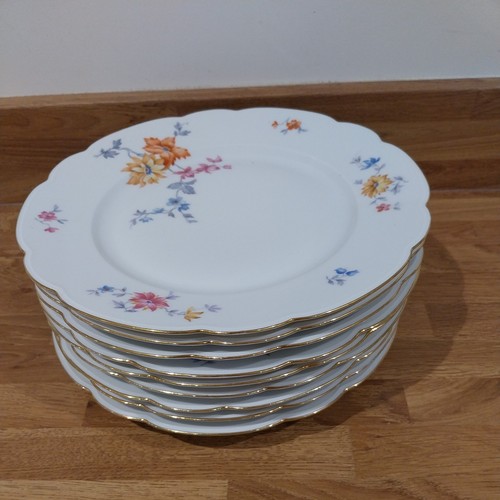 Set dinner plates - 9,