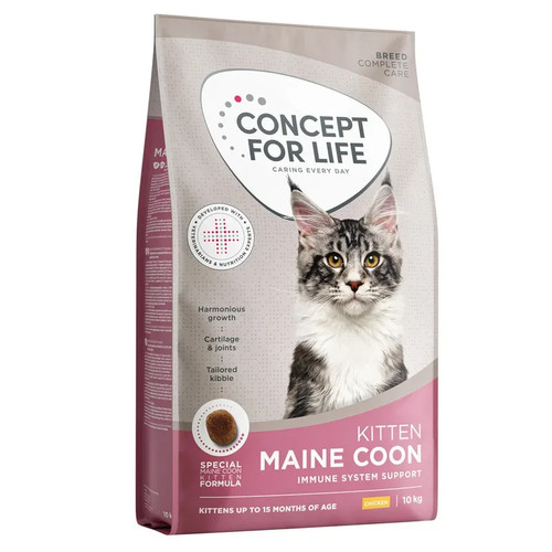 Concept for life maine - life,