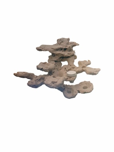 Print magnetic branching - print,