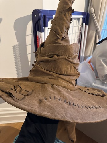 Harry potter sorting - sorting, hat