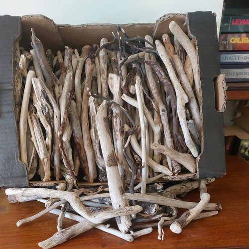 Driftwood pieces arts - driftwood,